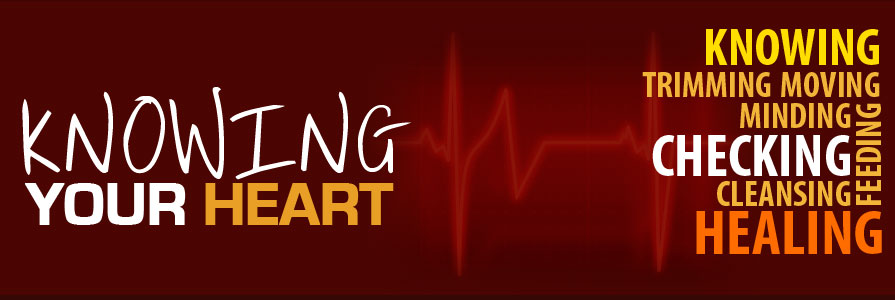 Knowing Your Heart Logo